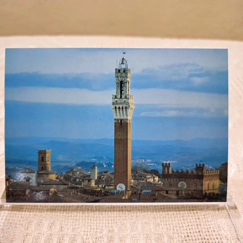 Vintage Veduta di Siena Basilica Domenico Federico Muzzi Italy Italian Postcard